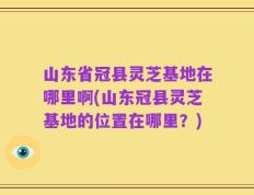 山东省冠县灵芝基地在哪里啊(山东冠县灵芝基地的位置在哪里？)