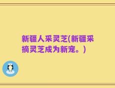 新疆人采灵芝(新疆采摘灵芝成为新宠。)