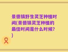 景德镇野生灵芝种植时间(景德镇灵芝种植的最佳时间是什么时候？)