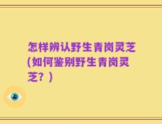 怎样辨认野生青岗灵芝(如何鉴别野生青岗灵芝？)
