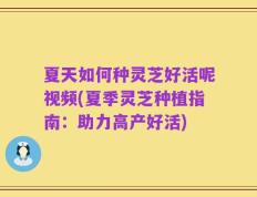 夏天如何种灵芝好活呢视频(夏季灵芝种植指南：助力高产好活)