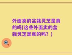 外面卖的盆栽灵芝是真的吗(这些外面卖的盆栽灵芝是真的吗？)