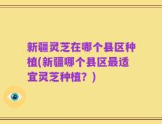 新疆灵芝在哪个县区种植(新疆哪个县区最适宜灵芝种植？)