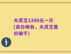 大灵芝1200元一斤(高价稀有，大灵芝售价破千)