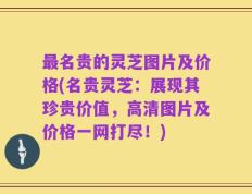 最名贵的灵芝图片及价格(名贵灵芝：展现其珍贵价值，高清图片及价格一网打尽！)