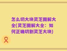 怎么切大块灵芝图解大全(灵芝图解大全：如何正确切割灵芝大块)