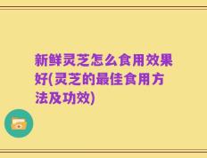 新鲜灵芝怎么食用效果好(灵芝的最佳食用方法及功效)