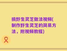 摘野生灵芝做法视频(制作野生灵芝的简易方法，附视频教程)
