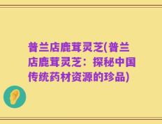 普兰店鹿茸灵芝(普兰店鹿茸灵芝：探秘中国传统药材资源的珍品)