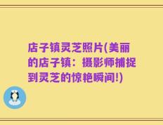 店子镇灵芝照片(美丽的店子镇：摄影师捕捉到灵芝的惊艳瞬间!)