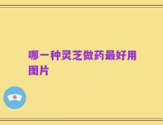 哪一种灵芝做药最好用图片