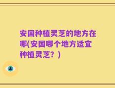 安国种植灵芝的地方在哪(安国哪个地方适宜种植灵芝？)