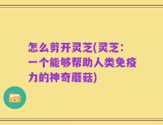 怎么剪开灵芝(灵芝：一个能够帮助人类免疫力的神奇蘑菇)