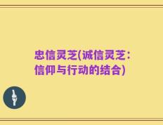 忠信灵芝(诚信灵芝：信仰与行动的结合)
