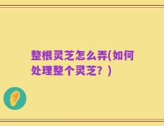 整根灵芝怎么弄(如何处理整个灵芝？)