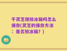 干灵芝得放冰箱吗怎么保存(灵芝的保存方法：是否放冰箱？)
