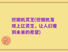 挖掘机灵芝(挖掘机发现上亿灵芝，让人们看到未来的希望)