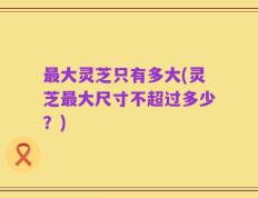最大灵芝只有多大(灵芝最大尺寸不超过多少？)
