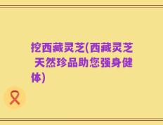 挖西藏灵芝(西藏灵芝 天然珍品助您强身健体)