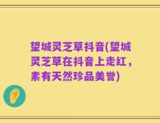 望城灵芝草抖音(望城灵芝草在抖音上走红，素有天然珍品美誉)