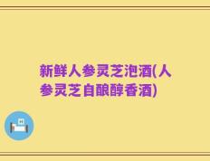 新鲜人参灵芝泡酒(人参灵芝自酿醇香酒)