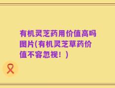 有机灵芝药用价值高吗图片(有机灵芝草药价值不容忽视！)