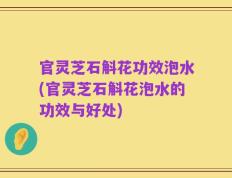 官灵芝石斛花功效泡水(官灵芝石斛花泡水的功效与好处)