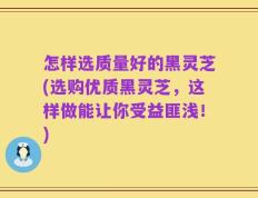 怎样选质量好的黑灵芝(选购优质黑灵芝，这样做能让你受益匪浅！)