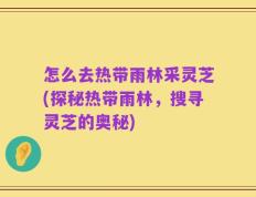 怎么去热带雨林采灵芝(探秘热带雨林，搜寻灵芝的奥秘)