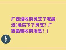 广西谁收购灵芝了呢最近(谁买下了灵芝？广西最新收购消息！)