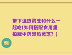 带下湿热灵芝和什么一起吃(如何搭配食用重拍版中药湿热灵芝？)