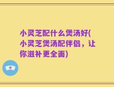小灵芝配什么煲汤好(小灵芝煲汤配伴侣，让你滋补更全面)