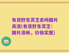有货野生灵芝卖吗图片高清(有货野生灵芝：图片清晰，价格实惠)