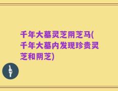 千年大墓灵芝阴芝马(千年大墓内发现珍贵灵芝和阴芝)