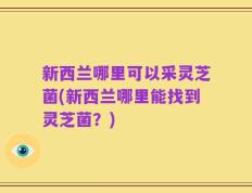 新西兰哪里可以采灵芝菌(新西兰哪里能找到灵芝菌？)