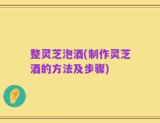 整灵芝泡酒(制作灵芝酒的方法及步骤)
