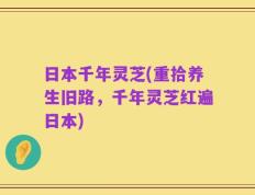日本千年灵芝(重拾养生旧路，千年灵芝红遍日本)