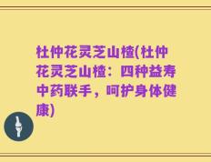 杜仲花灵芝山楂(杜仲花灵芝山楂：四种益寿中药联手，呵护身体健康)