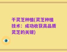 干灵芝种植(灵芝种植技术：成功收获高品质灵芝的关键)