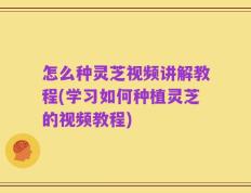 怎么种灵芝视频讲解教程(学习如何种植灵芝的视频教程)