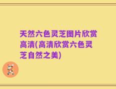 天然六色灵芝图片欣赏高清(高清欣赏六色灵芝自然之美)