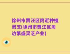 徐州市贾汪区附近种植灵芝(徐州市贾汪区周边繁盛灵芝产业)