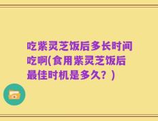 吃紫灵芝饭后多长时间吃啊(食用紫灵芝饭后最佳时机是多久？)