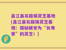 昌江县石路镇灵芝基地(昌江县石路镇灵芝基地：探秘被誉为“长寿草”的灵芝！)