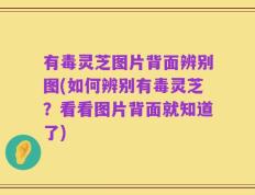有毒灵芝图片背面辨别图(如何辨别有毒灵芝？看看图片背面就知道了)