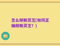 怎么掰断灵芝(如何正确掰断灵芝？)
