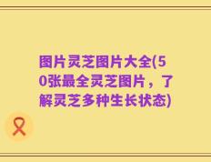 图片灵芝图片大全(50张最全灵芝图片，了解灵芝多种生长状态)