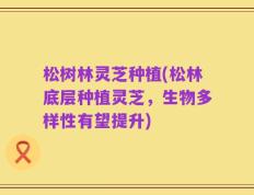 松树林灵芝种植(松林底层种植灵芝，生物多样性有望提升)