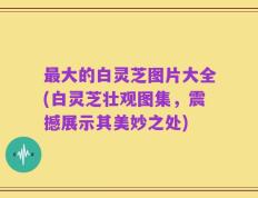 最大的白灵芝图片大全(白灵芝壮观图集，震撼展示其美妙之处)