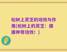 松树上灵芝的功效与作用(松树上的灵芝：健康神奇功效！)